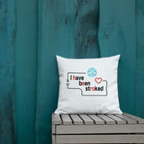 Coussin Haut de Gamme "I have been stroked"