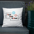 Coussin Haut de Gamme "I have been stroked"